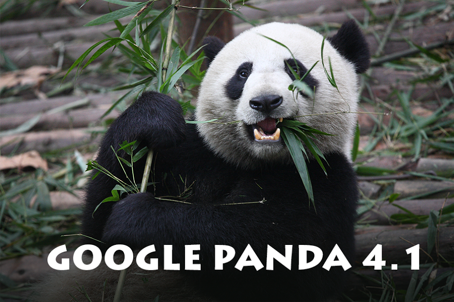 Google Panda 4.1 Algorithm