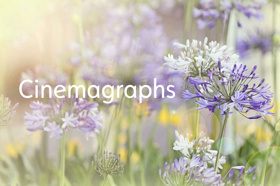 Cinemagraphs: the mystery of subtle motion for your website’s design