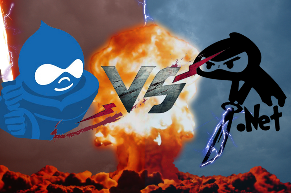 Drupal as CMS vs .NET based CMS: which one to choose for your web development?