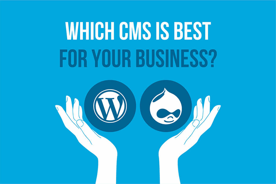 which CMS is best for your business