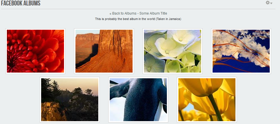 Facebook Album social media module