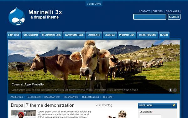 Marinelli drupal themes free