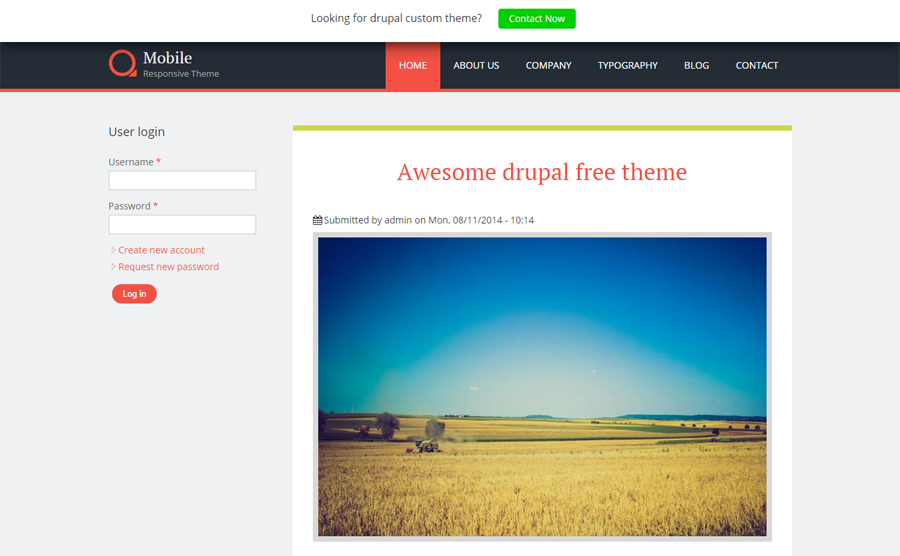 Mobile Responsive Theme