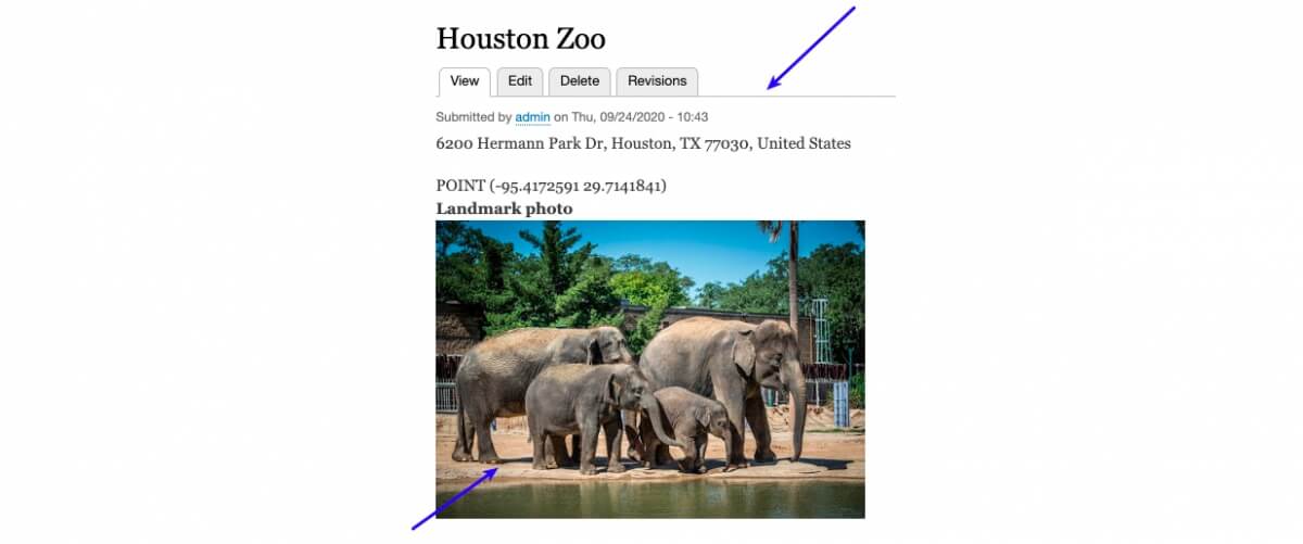  page about the zoo will look like