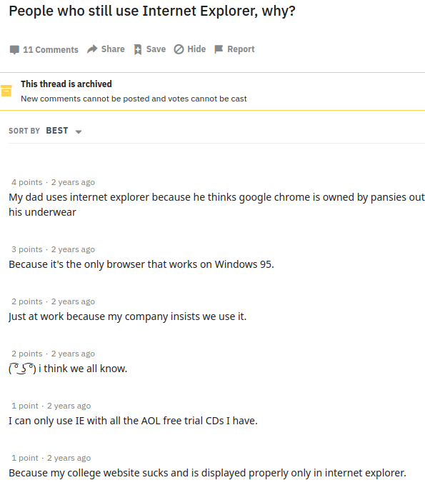 People who still use Internet Explorer support on the website, why