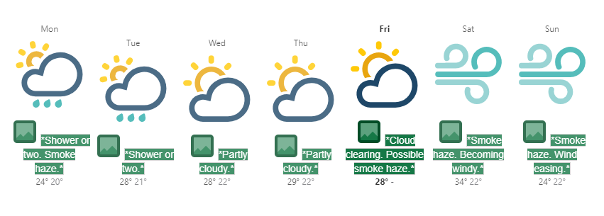 Web accessibility example: ALT text for graphics